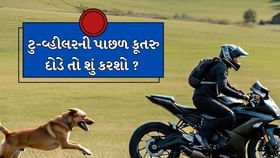 તમારા ટુ-વ્હીલરની પાછળ અચાનક કૂતરુ દોડીને ભસવા લાગે તો શું કરવુ ? તમારા ટુ-વ્હીલરની પાછળ અચાનક કૂતરુ દોડીને ભસવા લાગે તો શું કરવુ ?