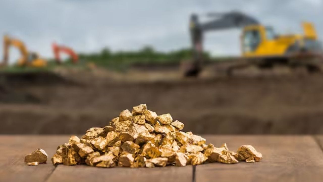 24 કેરેટ સોનું સૌથી શુદ્ધ છે પરંતુ 22 કેરેટ સોનું થોડું ઓછું શુદ્ધ પરંતુ મજબૂત છે, તેથી તેનો ઉપયોગ ઘરેણાં બનાવવામાં થાય છે. ભારતમાં સોનાના ભાવ ઘણા પરિબળો પર આધાર રાખે છે, જેમ કે આંતરરાષ્ટ્રીય બજારમાં ભાવ, સરકાર દ્વારા લાદવામાં આવતા કર અને રૂપિયાના મૂલ્યમાં ફેરફાર.