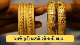 આજે સહેજ ઘટ્યો સોનાનો ભાવ, પણ ચાંદી રેકોર્ડ હાઈ પર ! જાણો કિંમત આજે સહેજ ઘટ્યો સોનાનો ભાવ, પણ ચાંદી રેકોર્ડ હાઈ પર ! જાણો કિંમત