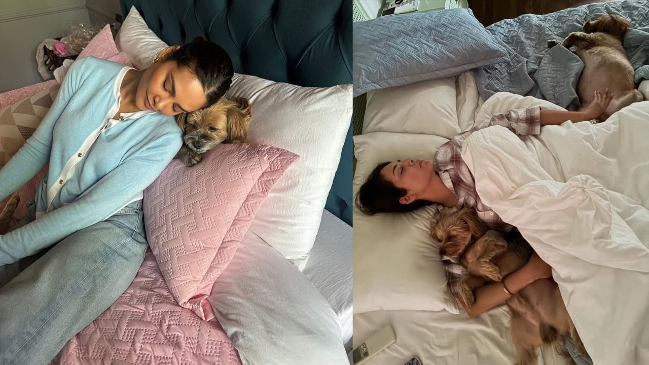 તેણે આગળ કહ્યું તમે જાણો છો કે તબક્કાઓ કેવી રીતે થાય છે? અમે ક્યારેય યોગ્ય મુલાકાતના તબક્કામાં પહોંચ્યા નહીં. મને નથી લાગતું કે અમે સાથે હતા. તેથી વસ્તુઓ ક્યારેય આગળ વધી નહીં. 