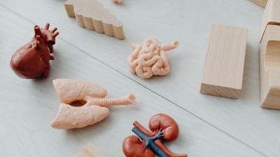 તમારા પેશાબથી ખબર પડી જાય છે કે, તમારું હેલ્થ કેવું છે.કારણ કે, શરીરની અંદર  અંગ યૂરિન બનાવવાનું કામ કરે છે.કિડની લોહીમાંથી વધારાનું પ્રવાહી, ઝેરી પદાર્થો અને કચરો દૂર કરીને પેશાબ બનાવે છે.પછી તે મૂત્રાશયમાં સંગ્રહિત થાય છે.જો તમારા પેશાબમાં ફીણ આવે છે,તો તે કિડની રોગની નિશાની હોઈ શકે છે.