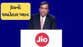 Jio ના આ ટોપ-સેલિંગ પ્લાનનો જલવો ! ફ્રી Jio Tvની સાથે મળશે 1000GB ડેટા Jio ના આ ટોપ-સેલિંગ પ્લાનનો જલવો ! ફ્રી Jio Tvની સાથે મળશે 1000GB ડેટા
