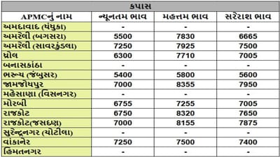 કપાસના તા.25-06-2025ના રોજ APMCના ભાવ રૂ.5400 થી 8355 રહ્યા.