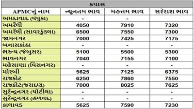 કપાસના તા.04-06-2025ના રોજ APMCના ભાવ રૂ.4050 થી 8025 રહ્યા.