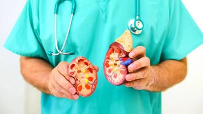 જો કિડનીમાં પથરી બનતી હોય, તો શરીરમાં કેવા સંકેતો હોય શકે ?