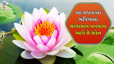 કમળનું ફૂલ જોવું: સ્વપ્નમાં કમળનું ફૂલ જોવું એ સૂચવે છે કે ભવિષ્યમાં તમને દેવી લક્ષ્મીનો આશીર્વાદ મળી શકે છે. અથવા તમને ખૂબ જ જલ્દી ઘણા પૈસા મળવાના છે.
