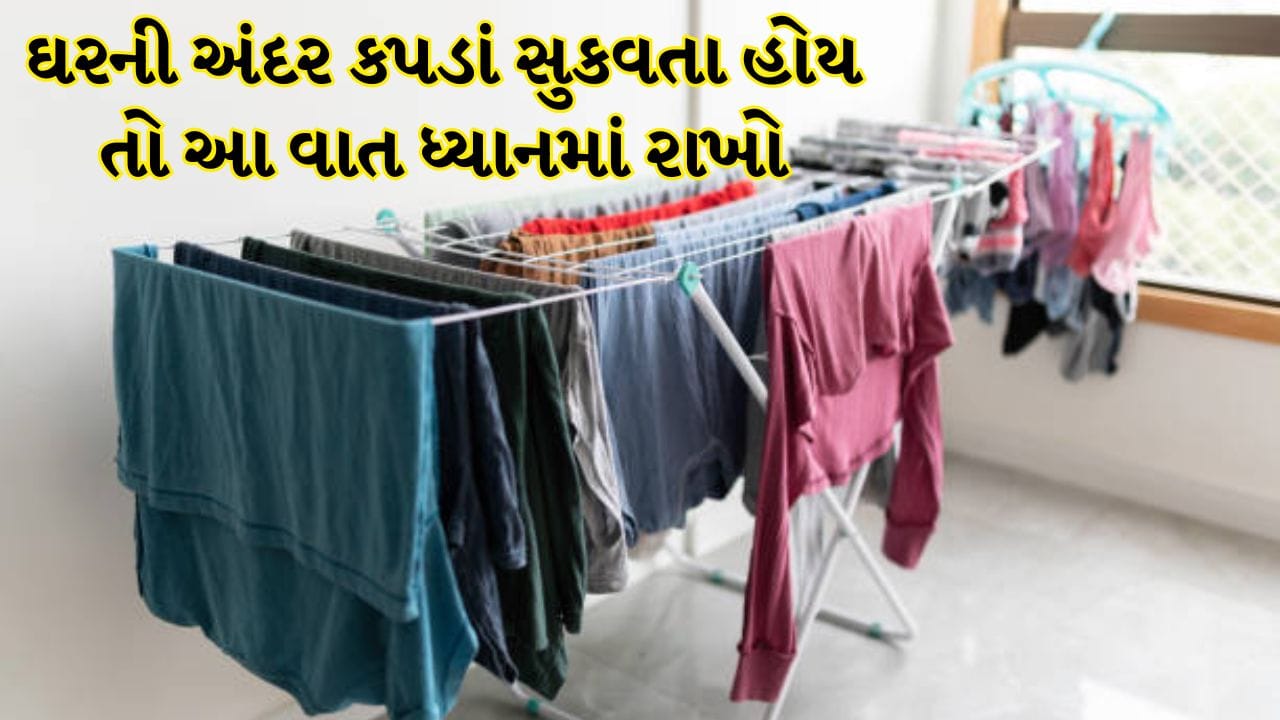 કપડાં સૂકવતી વખતે ખાસ ધ્યાન રાખો કે કપડાંમાં વધારે ભેજ ન રહે. કારણ કે તેનાથી કપડાંમાં બેક્ટેરિયા થઈ શકે છે. કપડાં સૂકવતી વખતે કેટલીક બાબતોનું ખાસ ધ્યાન રાખવું ખૂબ જ જરૂરી છે.
