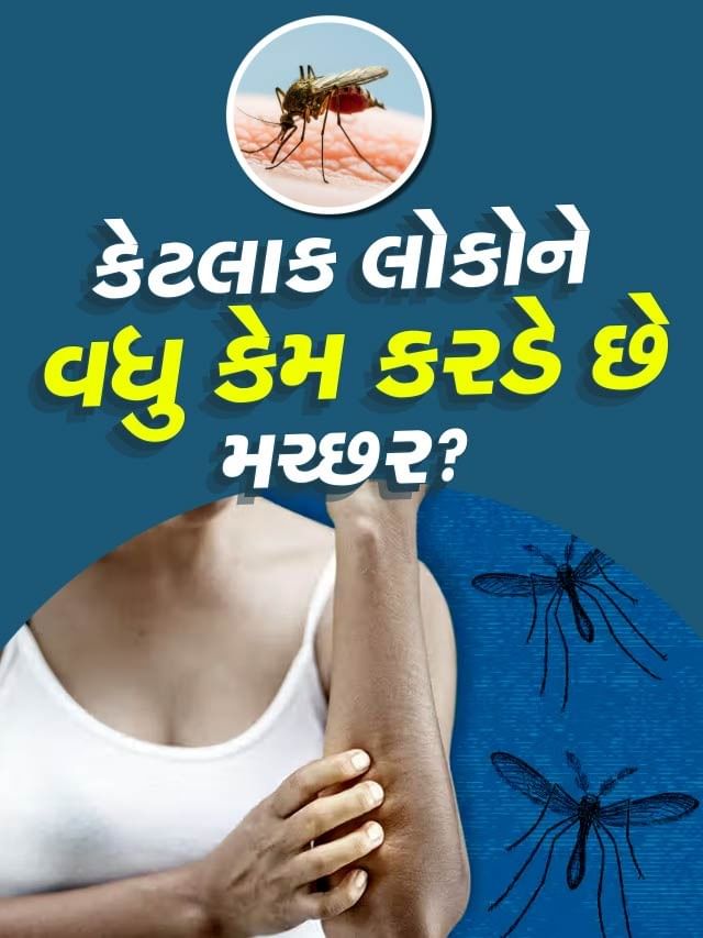 કેટલાક લોકોને વધુ કેમ કરડે છે મચ્છર? કેટલાક લોકોને વધુ કેમ કરડે છે મચ્છર?
