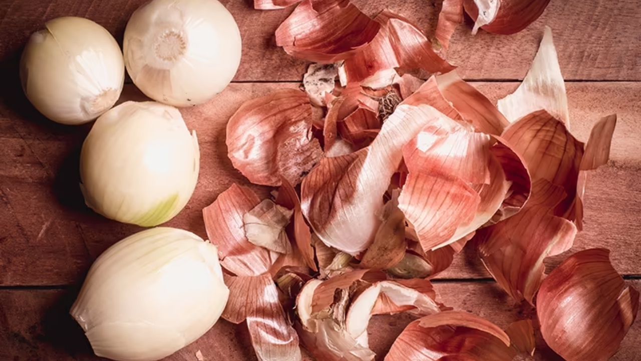  ડુંગળી ખાવાના ઘણા ફાયદા છે પરંતુ લોકો તેની છાલ ફેંકી દે છે. આજે આપણે જાણીશું કે તમે ડુંગળીની છાલનો ઉપયોગ કેવી રીતે કરી શકો છો.
