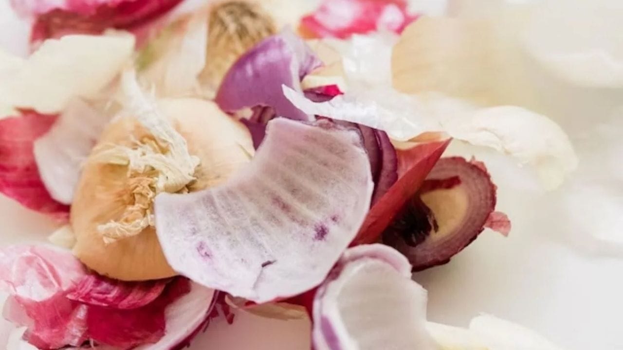 ઘરની સફાઈ માટે ડુંગળીની છાલ એક સારો વિકલ્પ હોઈ શકે છે. આ માટે તમારે ડુંગળીની છાલને ઉકાળવી પડશે અને પછી તમે તે પાણીથી બાથરૂમ, રસોડું કે ઘર સાફ કરી શકો છો.