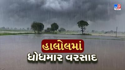 Panchmahal Rain : હાલોલમાં 2 કલાકમાં 2 ઈંચ ખાબક્યો વરસાદ, પાવાગઢ અને આસપાસના વિસ્તારમાં નયનરમ્ય વાતાવરણ, જુઓ Video