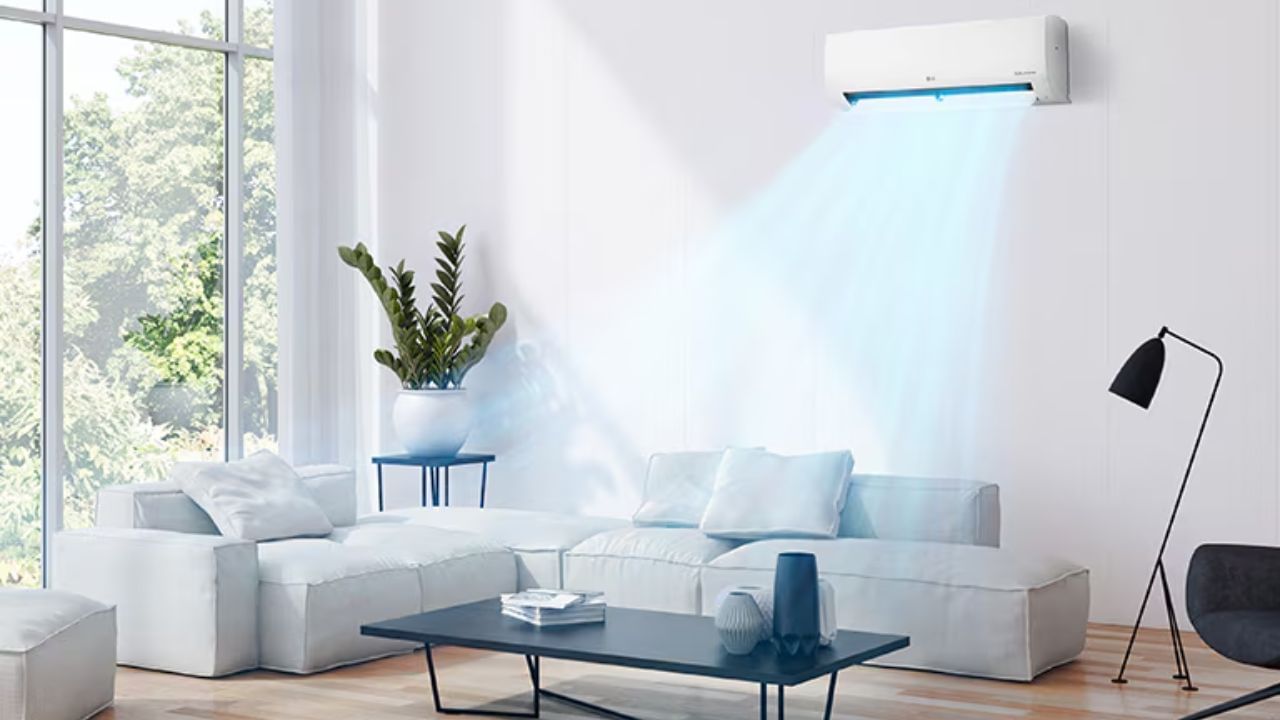 દૂધ અને કેલ્શિયમયુક્ત વસ્તુઓ ખાઓ: હાડકાઓને મજબૂત રાખવા માટે કેલ્શિયમ ખૂબ જ મહત્વપૂર્ણ છે. આ માટે ડૉ. શિવૈયા દરરોજ દૂધ પીવાની ભલામણ કરે છે. આ ઉપરાંત દહીં, પનીર અને અન્ય ડેરી ઉત્પાદનો પણ હાડકાં માટે ફાયદાકારક છે. લીલા શાકભાજી ખાઓ- પાલક, બ્રોકોલી જેવા લીલા શાકભાજીમાં પણ પુષ્કળ પ્રમાણમાં કેલ્શિયમ, આયર્ન અને અન્ય જરૂરી પોષક તત્વો હોય છે. તેનું સેવન કરવાથી હાડકાં લાંબા સમય સુધી મજબૂત રહે છે.