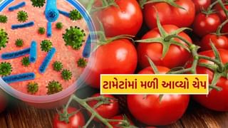 ટામેટાંથી મળ્યો ‘સૅલ્મોનેલા’ નામનો ચેપ, મનુષ્યના સ્વાસ્થ્ય માટે છે ખતરનાક, જાણો વિગત