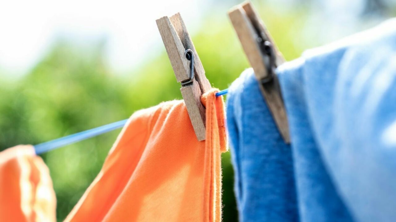 કપડામાંથી દુર્ગંધ આવે ત્યારે દરેક વખતે કપડાં ધોવા એ એકમાત્ર વિકલ્પ નથી. ક્યારેક થોડી સમજદારી અને ઘરગથ્થુ ઉપચાર પણ કપડાંને નવા દેખાડી શકે છે. ઉપર આપેલી આ સરળ પદ્ધતિઓ ફક્ત મુસાફરી દરમિયાન જ નહીં પરંતુ રોજિંદા જીવનમાં પણ ખૂબ અસરકારક છે. આગલી વખતે જ્યારે તમને પહેરતા પહેલા કપડામાંથી દુર્ગંધ આવતી લાગે અને તેને ધોવાનો સમય ન હોય, તો ચોક્કસપણે આ ઉપાયો અજમાવો અને ફરક જાતે અનુભવો.