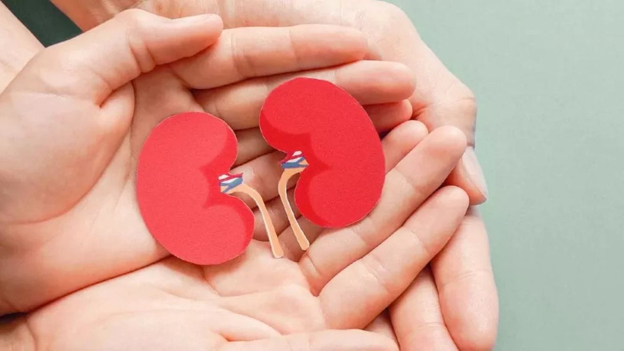 આ 6 આદતો તમારી કિડનીને પહોંચાડી રહી છે નુકસાન,સાવચેત રહો નહીંતર શરીરમાં આવશે સમસ્યા