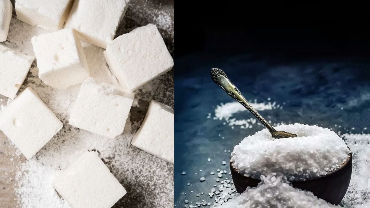 વધુ પડતી ખાંડ ખાવાથી વજન વધી શકે છે અને ડાયાબિટીસ પણ થઈ શકે છે. આ બધા તમારી કિડનીને નુકસાન પહોંચાડી શકે છે.