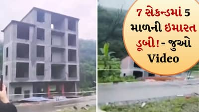 Viral Video: પૂરનું ભયાનક દ્રશ્ય! 7 સેકન્ડમાં 5 માળની ઇમારત નદીમાં ડૂબી ગઈ, ખાલી ખોખાંની જેમ તણાઈ