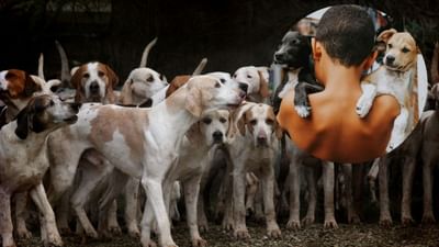 રિયલ લાઈફમાં 'મોગલી'! માતાએ બાળપણ બગાડ્યુંતો તેને 6 કૂતરાઓએ ઉછેર્યો, હવે તે તેમની ભાષામાં વાત કરે છે