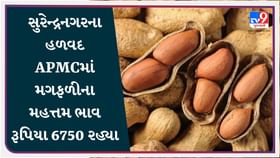 APMC: સુરેન્દ્રનગરના હળવદ APMCમાં મગફળીના મહત્તમ ભાવ રૂપિયા 6750 રહ્યા APMC: સુરેન્દ્રનગરના હળવદ APMCમાં મગફળીના મહત્તમ ભાવ રૂપિયા 6750 રહ્યા