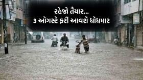 ત્રીજી ઓગસ્ટે ફરી ખાબકશે ધોધમાર વરસાદ- અંબાલાલ પટેલ