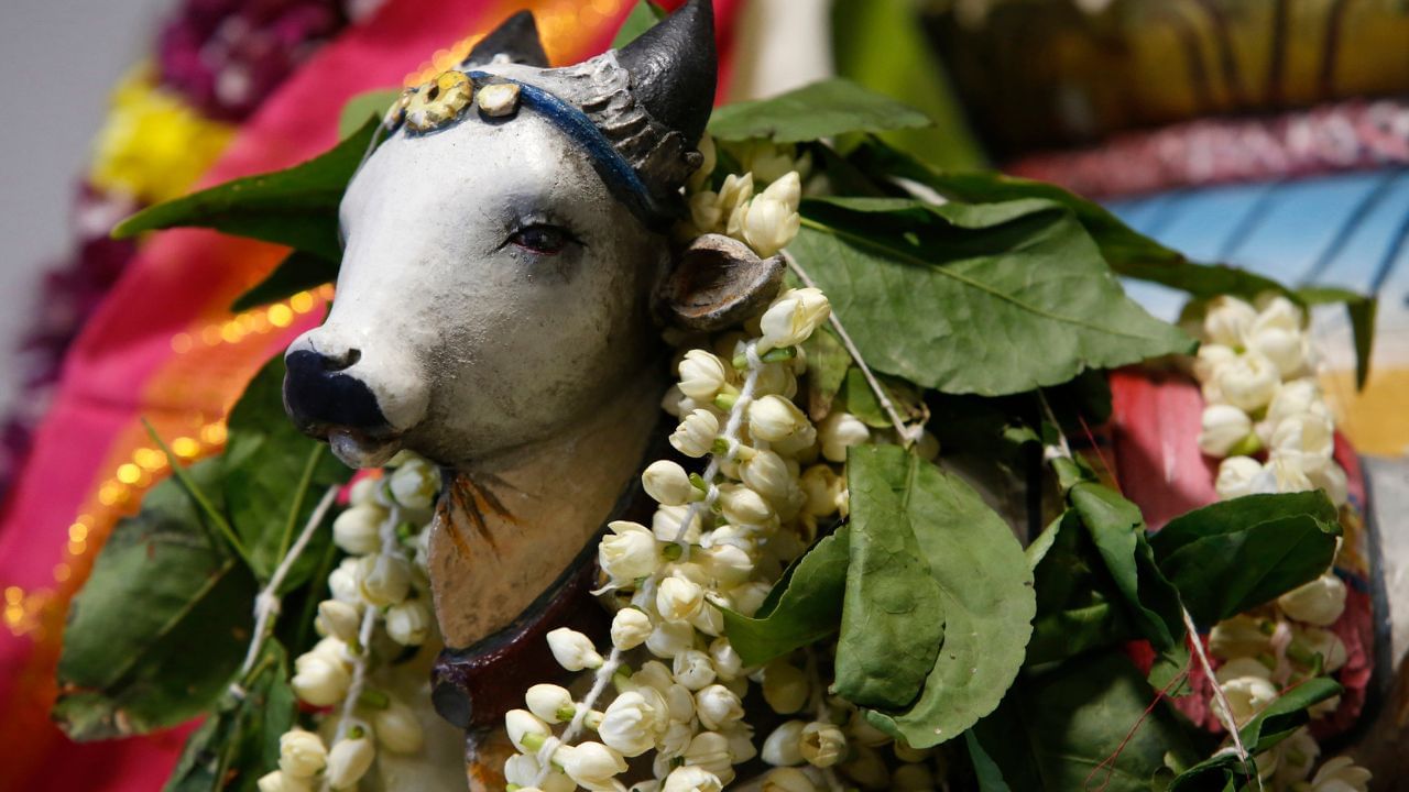 એવું માનવામાં આવે છે કે જો કોઈ નંદી મહારાજના કાનમાં પોતાની ઇચ્છા કહે છે, તો તેમના દ્વારા ભગવાન શિવ પોતાના ભક્તોનો પોકાર સાંભળે છે. તો ચાલો જાણીએ કે નંદી મહારાજના કાનમાં આપણી ઇચ્છા કહેવાનો સાચો નિયમ શું છે.