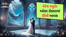 ₹50,000નું રોકાણ અને કમાણી ₹1,00,000 જેટલી! બિઝનેસ હોય તો આવો ₹50,000નું રોકાણ અને કમાણી ₹1,00,000 જેટલી! બિઝનેસ હોય તો આવો