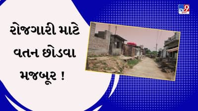 Chhota Udepur : નસવાડીમાં પેટ માટે વેઠ, રોજગારી માટે લોકો છોડી રહ્યાં છે વતન