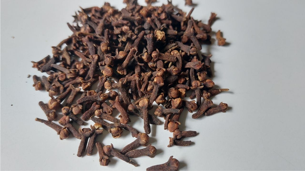 લવિંગ માત્ર રસોડાના મસાલા તરીકે જ નહીં, પરંતુ આયુર્વેદમાં પણ તેની વિશેષ ઓળખ છે. તેમાં રહેલા ઔષધીય તત્વો આરોગ્ય માટે લાભદાયી છે અને ધાર્મિક દ્રષ્ટિએ પણ તેનો ઉપયોગ પૂજામાં મહત્વનો માનવામાં આવે છે. (Credits: - Canva)