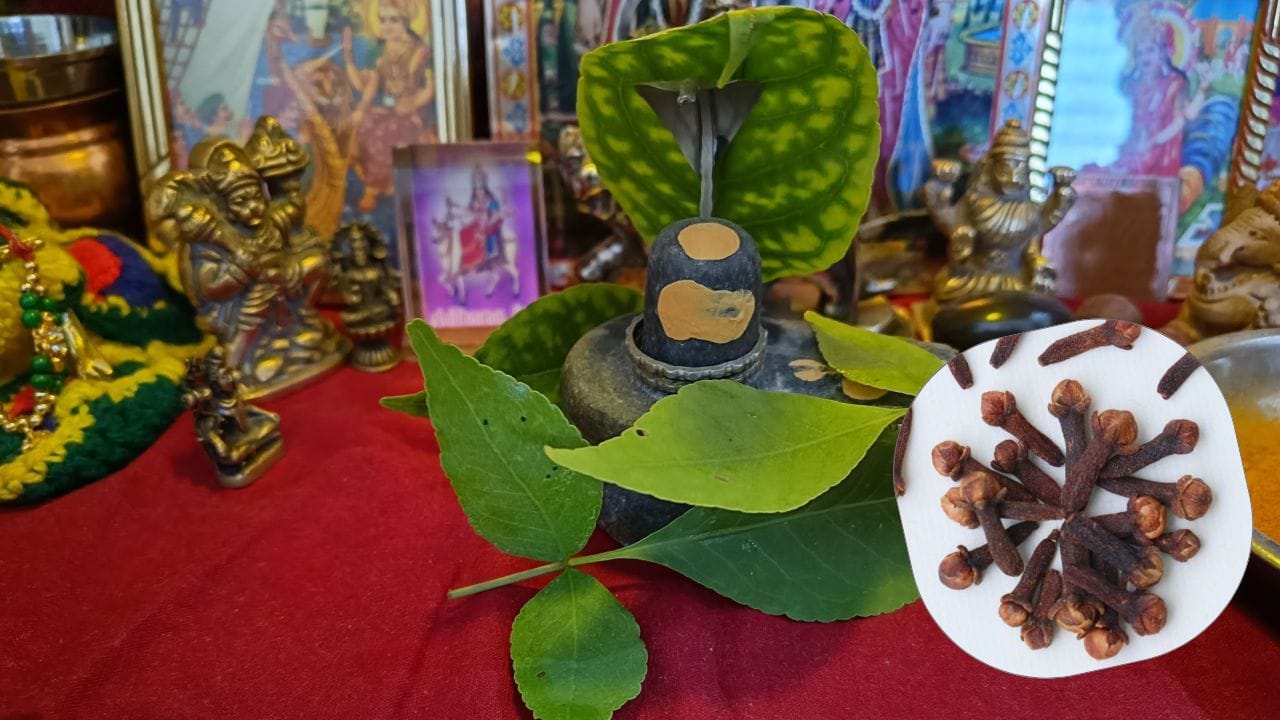 લોકવિશ્વાસ મુજબ, લવિંગ ધન, સમૃદ્ધિ અને વૃદ્ધિનું પ્રતિક છે. મંદિરમાં લવિંગની જોડી રાખવાથી ઘરમાં આર્થિક સંચાલન સુધરે છે અને વ્યવસાય તથા નોકરીમાં સફળતાના દરવાજા ખુલતાં હોય છે.