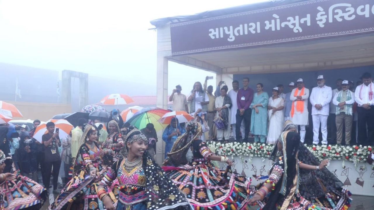 મહોત્સવ દરમિયાન 13 રાજ્યોના 110થી વધુ કલાકારોએ રંગારંગ પ્રસ્તુતિ આપી હતી. રાષ્ટ્રીય પુરસ્કાર વિજેતા કલા સમૂહોની કોરિયોગ્રાફી અને સ્થાનિક કલાકારોના પરંપરાગત ડાંગી નૃત્યે દર્શકોને મંત્રમુગ્ધ કર્યા. આ કાર્યક્રમો દ્વારા ગુજરાતની ધરોહર અને વિવિધતાને જીવંત અનુભવી શકાય છે.