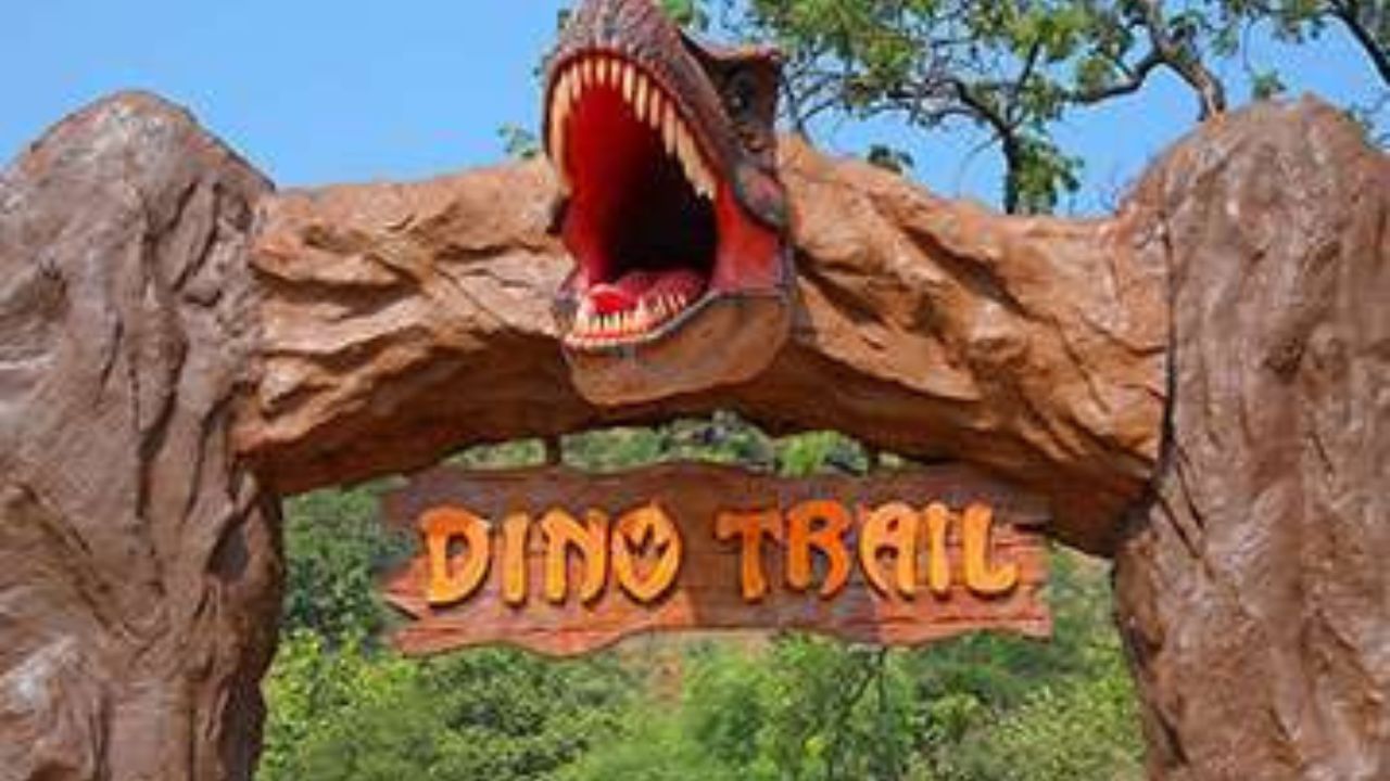 સ્ટેચ્યુ ઓફ યુનિટીમાં મુલાકાત લેવા માટે વિવિધ સ્થળો છે.કેવડિયામાં સ્ટેચ્યુ ઓફ યુનિટીની આસપાસ સ્થિત સૌથી રોમાંચક પર્યટન સ્થળોમાં ડીનો ટ્રેઇલ (DinoTrail) પાર્કનો સમાવેશ થાય છે.