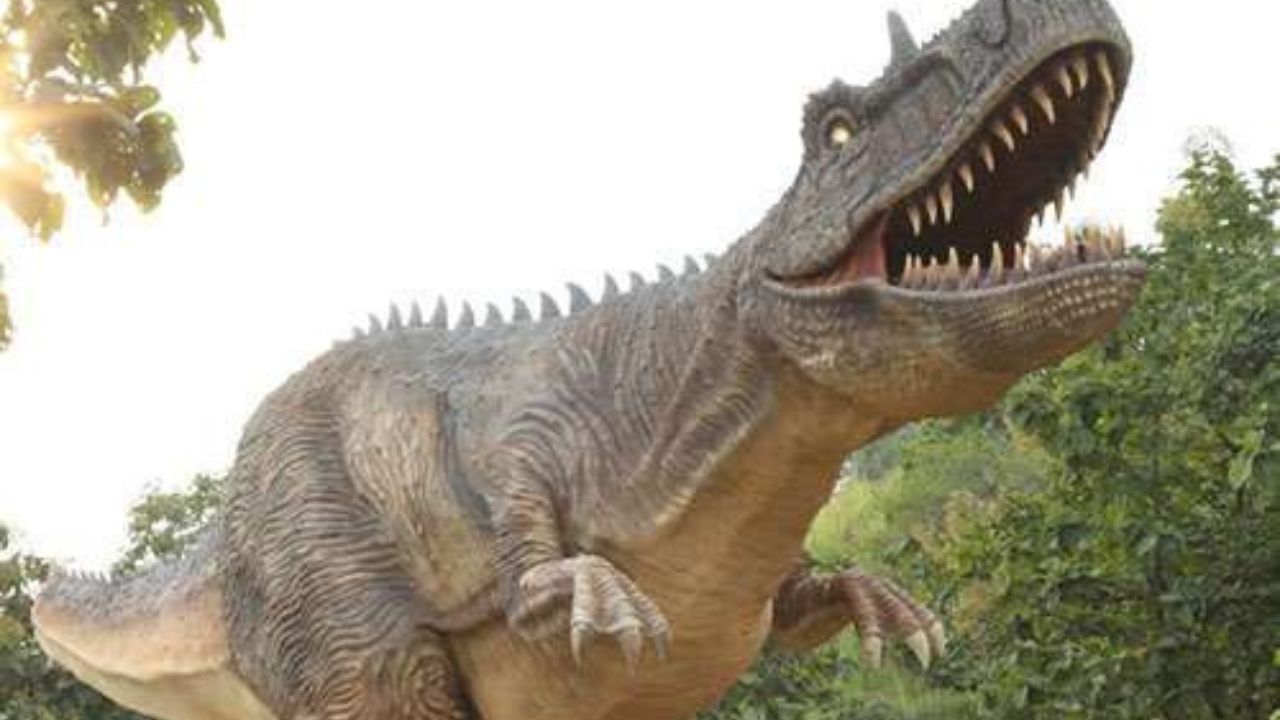 ડીનો ટ્રેઇલ પાર્ક દરરોજ ખુલ્લું રહે છે.  પ્રવેશ ફી નજીવી રહે છે અને તેથી તમારા ખિસ્સા પર વધુ અસર પડશે નહીં, જેથી પરિવાર સાથે સસ્તી ટ્રિપ કરી શકશો. અહી ગયા પછી તમને ફિલ્મ જુરાસિક વર્લ્ડ રિબર્થના શૂટિંગ સ્થળ હોય તેવો અહેસાસ થશે.