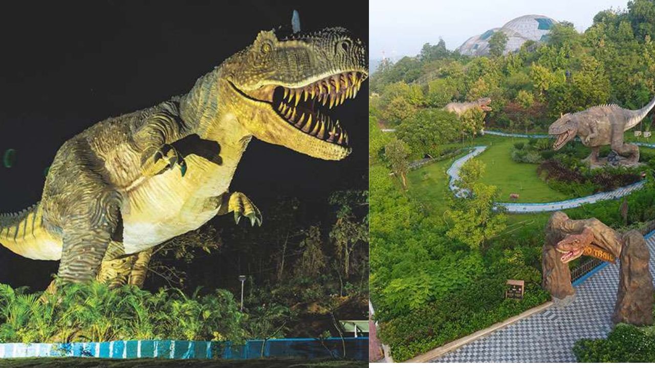 ડીનો ટ્રેઇલ પાર્ક એક અનોખો અનુભવ અપાવશે. જેમાં પ્રવાસીઓ ડાયનાસોર વચ્ચે ફરતા હોય તેવો અહેસાસ થાય છે.આ સ્થળ બાળકો અને પરિવારો માટે બેસ્ટ છે, ડાયનાસોર મોડેલો અને બોર્ડ પર માહિતી તમારા બાળકોને એક શૈક્ષણિક અનુભવ કરાવશે.