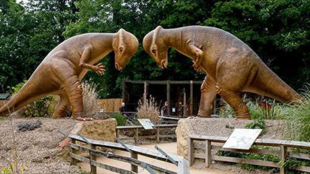 વડોદરાથી અંદાજે 90 કિમી દુર સ્ટેચ્યુ ઓફ યુનિટી આવેલું છે. તમે બાઈક કે, કાર દ્વારા પણ અહી સરળતાથી પહોંચી શકો છો.