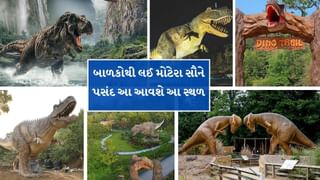 Travel Tips : ગુજરાતમાં આવેલું આ સ્થળ તમને Jurassic Parkનો અનુભવ કરાવશે, બાળકોને જરુર લઈ જાવ