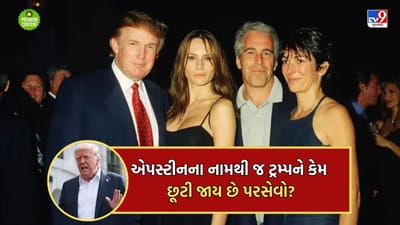 અમેરિકાના ઐયાશ બિઝનેસમેન જેફરી એપસ્ટીનની ફાઈલમાં ટ્રમ્પના એવા તો શું કાળા કારનામા છુપાયેલા છે કે સાર્વજનિક થવા નથી દેતા- વાંચો