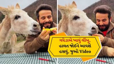Funny Video: લીંબુ ખાધા પછી ગધેડાએ આપ્યું આવું રિએક્શન, Video જોઈને બધા હસવા લાગ્યા!