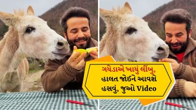 Funny Video: લીંબુ ખાધા પછી ગધેડાએ આપ્યું આવું રિએક્શન, Video જોઈને બધા હસવા લાગ્યા!