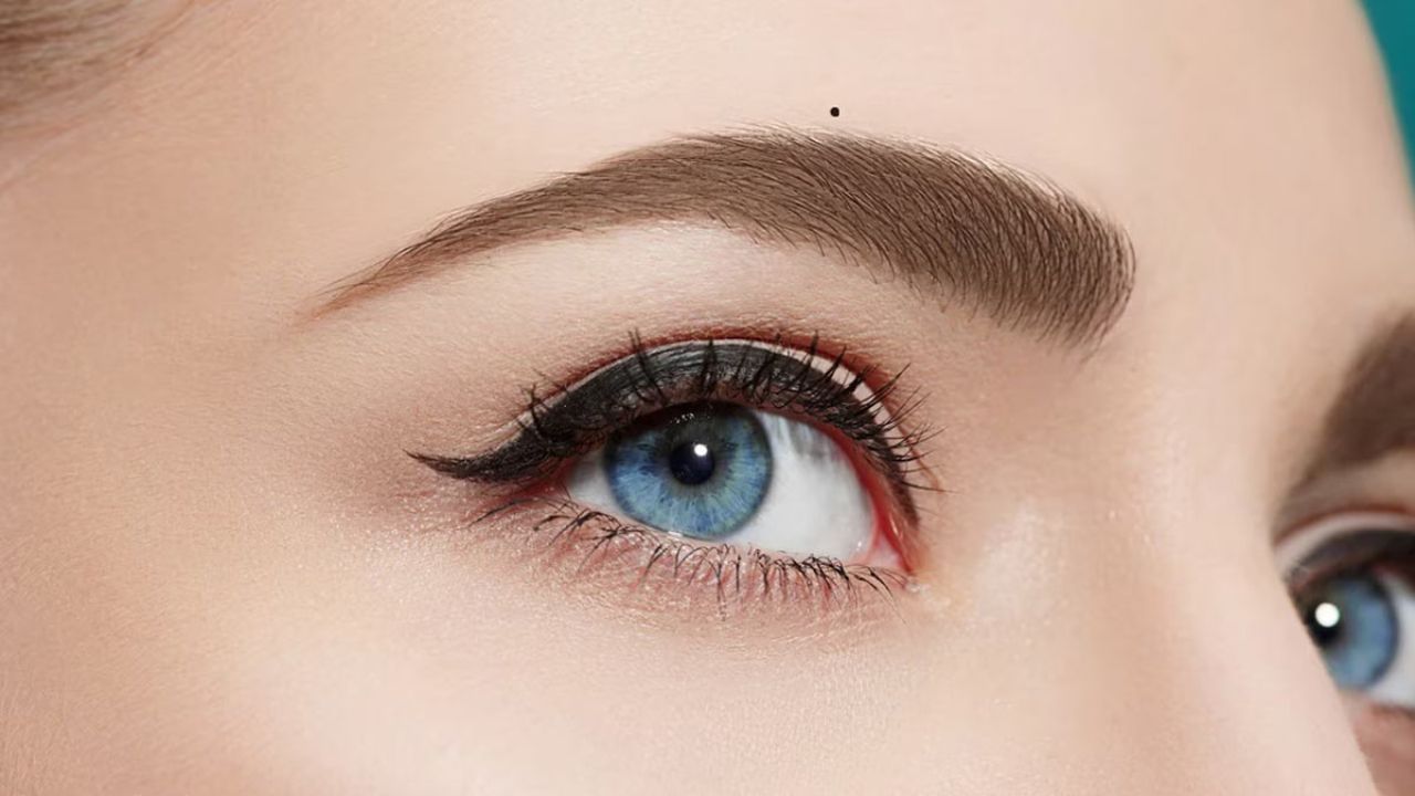 કાળી આઈબ્રો: સામુદ્રિક શાસ્ત્ર અનુસાર જે લોકોની આઈબ્રો ઘેરા કાળા હોય છે, તેમને પૈસા મોડેથી મળે છે. પરંતુ તેઓ આર્થિક રીતે સમૃદ્ધ હોય છે. આ ઉપરાંત આવા લોકો ખૂબ જ પ્રતિભાશાળી, કલા પ્રેમી અને મોંઘા શોખ ધરાવતા હોય છે.