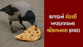 કાગડાને રોટલી ખવડાવવાથી શું થાય છે? જાણો કાગડાને રોટલી ખવડાવવાથી શું થાય છે? જાણો