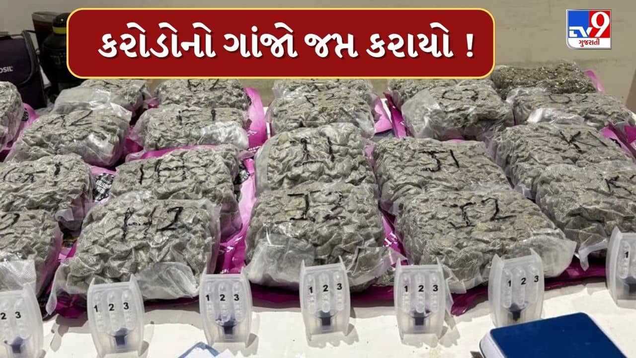 Breaking News : અમદાવાદ એરપોર્ટ પરથી ઝડપાયો 6 કરોડનો હાઈબ્રિડ ગાંજો, 2 મહિનામાં 200 કરોડનો ગાંજો જપ્ત કરાયો, જુઓ Video