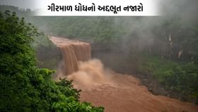 ડાંગના ગીરમાળ ધોધનો અદ્દભૂત આકાશી નજારો આવ્યો સામે- જુઓ VIDEO ડાંગના ગીરમાળ ધોધનો અદ્દભૂત આકાશી નજારો આવ્યો સામે- જુઓ VIDEO