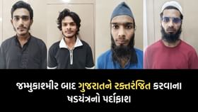 ગુજરાતમાંથી પકડાયા અલકાયદાના આતંકી, મોટા હુમલાને આપવાનો હતો અંજામ ગુજરાતમાંથી પકડાયા અલકાયદાના આતંકી, મોટા હુમલાને આપવાનો હતો અંજામ