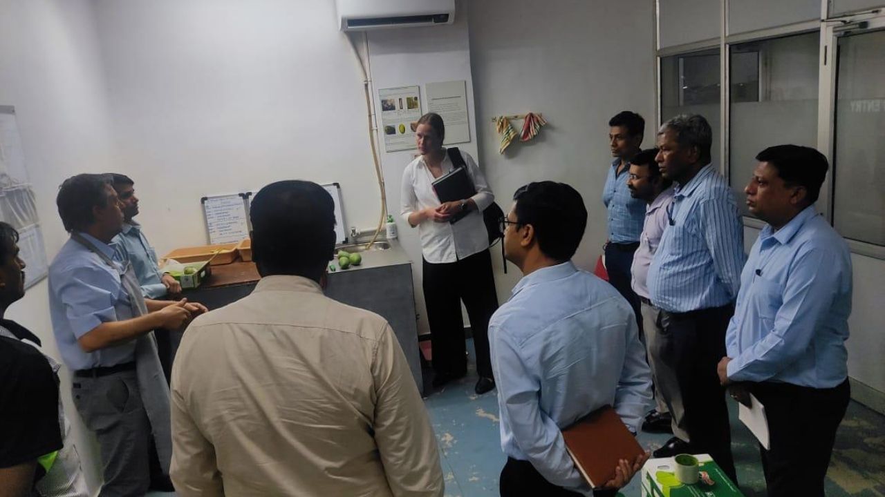 Gujarat Mango Exports Soar (3)