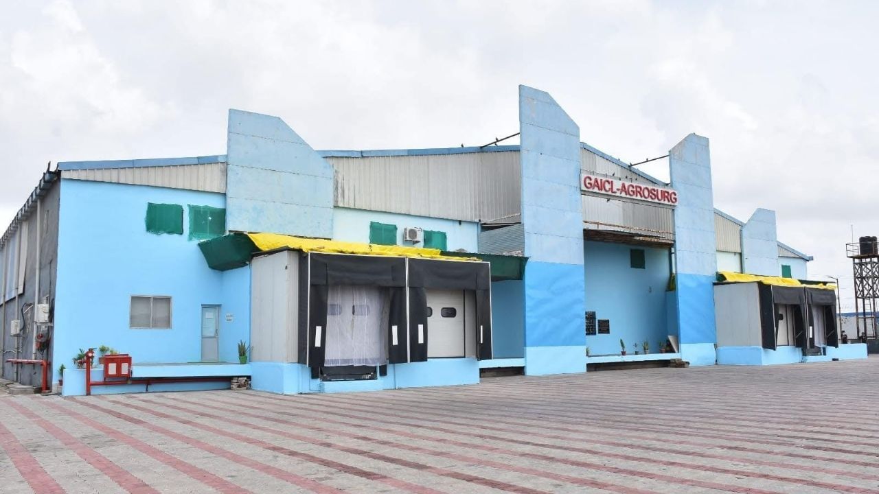 Gujarat Mango Exports Soar (4)