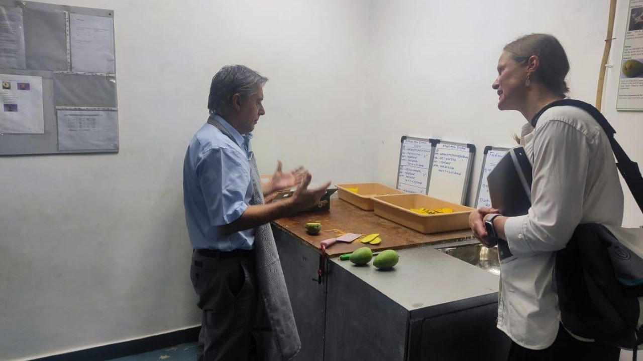 Gujarat Mango Exports Soar (5)