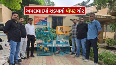 Parrot theft arrest : લગ્ન કરવા બન્યો પોપટ ચોર, અમદાવાદમાં 11 જેટલા એક્ઝોક્ટિક બર્ડની ચોરી કરનાર ઝડપાયો, જુઓ Video