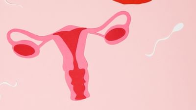 સામાન્ય રીતે મહિલા પ્રેગ્નનેટ થાય છે તો એક સુખદ અનુભવ કરે છે પરંતુ કેટલીક મહિલાઓ કોઈ કારણોસર ગર્ભધારણ કરી શકતી નથી. પ્રેગ્નન્સી કંસીવ કરવામાં મહિલાની ઓવરીમાં બનનાર એગ સાઈઝ ખુબ મહત્વપૂર્ણ ભુમિકા નિભાવે છે.