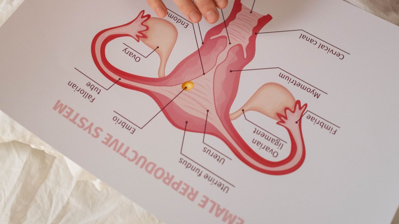 Gynecologists Tips (2)