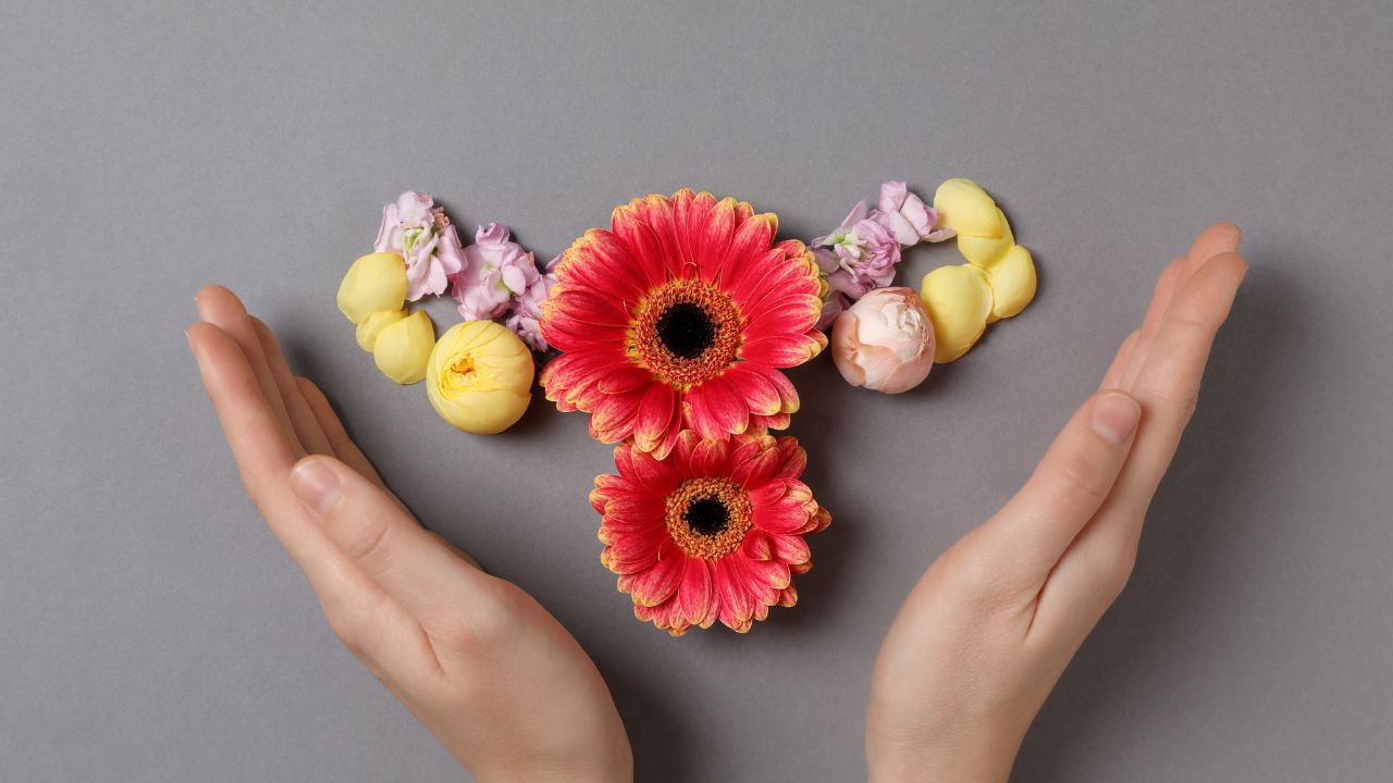 પેરીમેનોપોઝએ એવી સ્થિતિ છે જ્યારે શરીરમાં મેનોપોઝ શરૂ થાય છે. આ સમય દરમિયાન, અંડાશય હોર્મોન્સનું ઉત્પાદન ઘટાડે છે. આ કારણે પીરિયડ્સ અનિયમિત થઈ જાય છે. તમને જણાવી દઈએ કે પેરીમેનોપોઝ 40 વર્ષની ઉંમર પછી થઈ શકે છે.